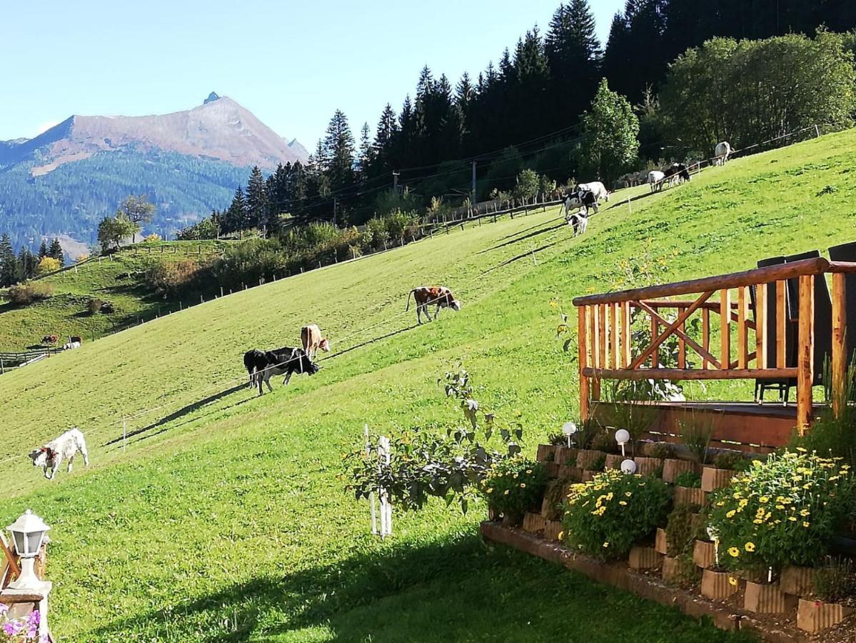 Urlaub Am Krausberghof, Apartment Mit Balkon Und Parkplatz, Inmitten Der Natur, Sauna Und Infrarotkabine, Kostenfreie Kaffeekapseln, 6 Fahrminuten Zur Alpentherme Gastein Und Zur Schlossalmbahn, Spielplatz Bad Hofgastein Exteriör bild