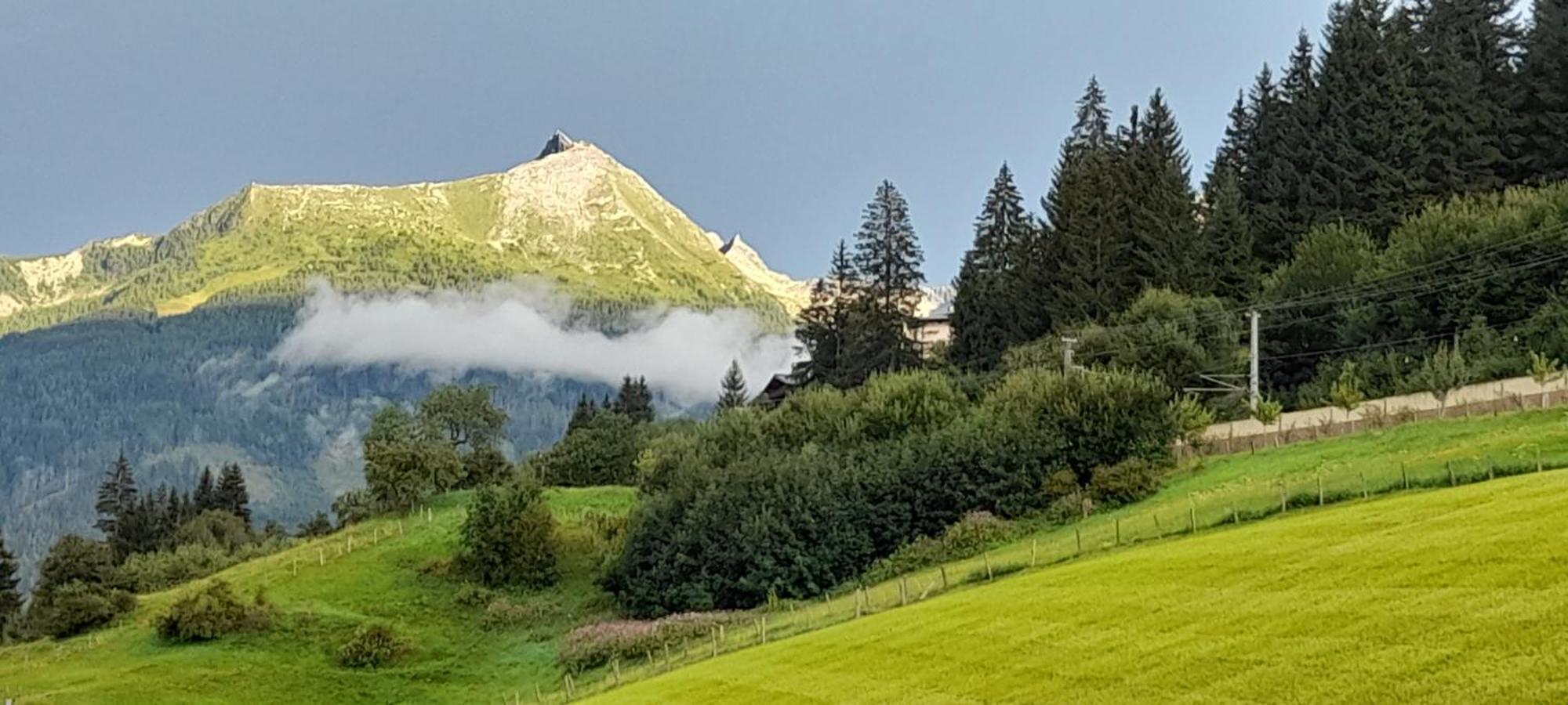 Urlaub Am Krausberghof, Apartment Mit Balkon Und Parkplatz, Inmitten Der Natur, Sauna Und Infrarotkabine, Kostenfreie Kaffeekapseln, 6 Fahrminuten Zur Alpentherme Gastein Und Zur Schlossalmbahn, Spielplatz Bad Hofgastein Exteriör bild