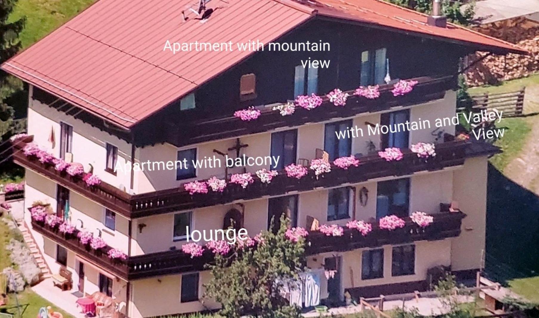 Urlaub Am Krausberghof, Apartment Mit Balkon Und Parkplatz, Inmitten Der Natur, Sauna Und Infrarotkabine, Kostenfreie Kaffeekapseln, 6 Fahrminuten Zur Alpentherme Gastein Und Zur Schlossalmbahn, Spielplatz Bad Hofgastein Exteriör bild