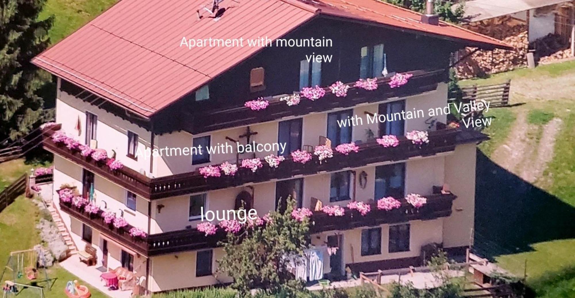 Urlaub Am Krausberghof, Apartment Mit Balkon Und Parkplatz, Inmitten Der Natur, Sauna Und Infrarotkabine, Kostenfreie Kaffeekapseln, 6 Fahrminuten Zur Alpentherme Gastein Und Zur Schlossalmbahn, Spielplatz Bad Hofgastein Exteriör bild